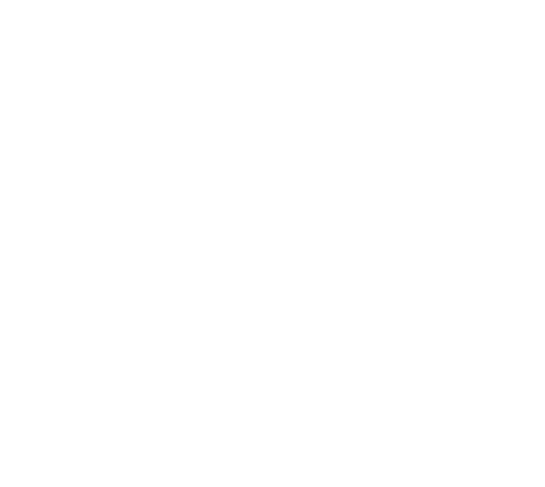 60_anniversary_logo_white